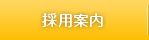 採用案内